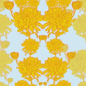 Chrysanthemums in Yellow