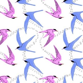 Flight of the terns 