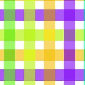 Checkers Summer Colors in Mint Green, Purple & Golden Orange