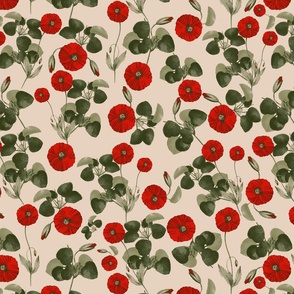 Poppies of Victorian Era