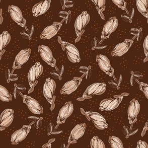 Magnolia blossoms in beige on brown
