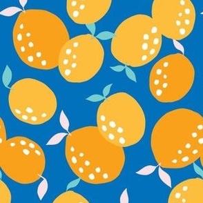 Medium Orange Citrus Fruits on Blue