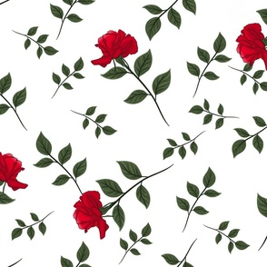 Single Red Roses Green Leaves