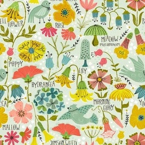 A Field Guide to Wildflowers - XS