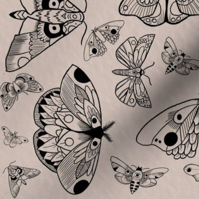Hand Drawn Moths/ Black Ink with Tan Background