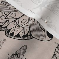 Hand Drawn Moths/ Black Ink with Tan Background