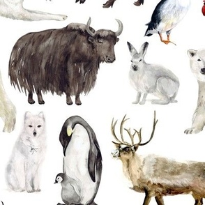 Large / Winter Animals