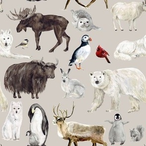 Winter Animals / Swirl