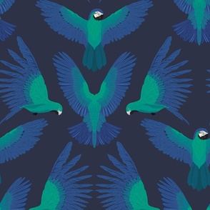Parrot print _Aqua Blues