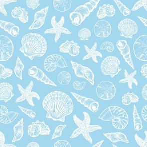 Seashells - Light Blue