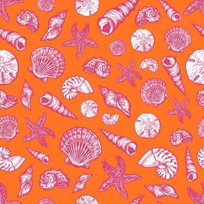 Seashells - Pink & Orange
