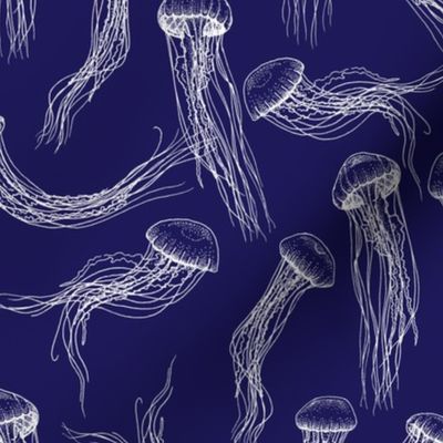 Jellyfish - Navy