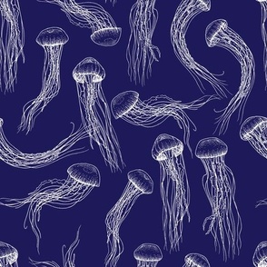 Jellyfish - Navy