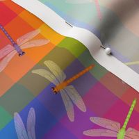 Multicolor Dragonflies on Rainbow Check 6 -nch repeat