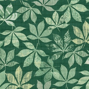 chestnut_leaves_evergreen_emerald