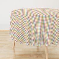 Spring Rainbow Gingham (small)