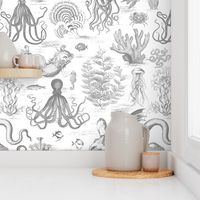 TOILE DE MER DEUX - GREY ON WHITE