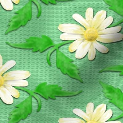 Simple Daisies on Green