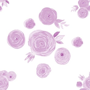 ranunculus-light pink-flowers