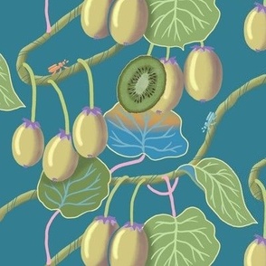 (L) Kiwi fruit on trailing branches - teal background