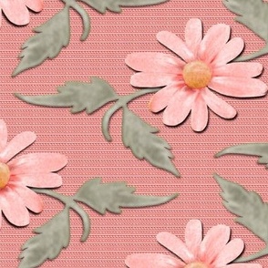 Simple Pink Daisies with Light Gray Leaves