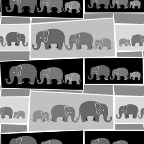 Gray Pachyderms