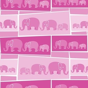 Pink Pachyderms