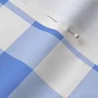 Sky blue gingham - medium