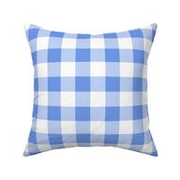 Sky blue gingham - medium