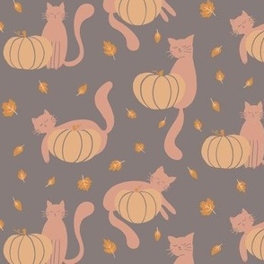 Kitty and Pumpkins | Pink Cats