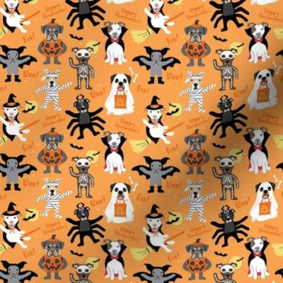 Dog Halloween Costume Party - Light Orange, Small Scale
