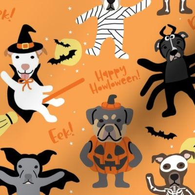 Dog Halloween Costume Party - Light Orange, Large Scale
