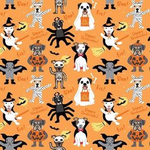 Dog Halloween Costume Party - Light Orange, Large Scale
