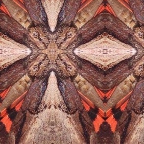 CK ILIA UNDERWING MOTH ABSTRACT 2-JUMBO-MIRROR