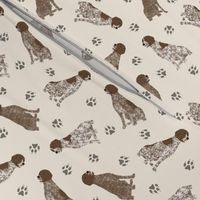 Tiny German Shorthaired Pointer - tan