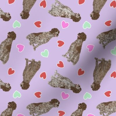 Tiny German Wirehaired Pointer - Valentine hearts
