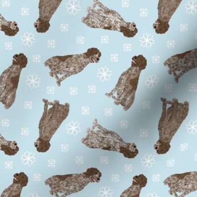 Tiny German Wirehaired Pointer - winter snowflakes