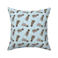 Tiny German Wirehaired Pointer - winter snowflakes