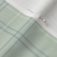 Sage Green and Blue Plaid