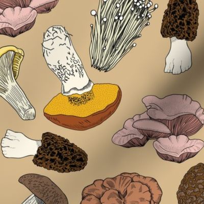 Hand Drawn Edible Mushrooms / Tan  / LRG 12in