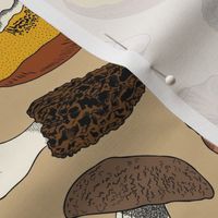 Hand Drawn Edible Mushrooms / Tan  / LRG 12in