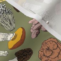 Hand Drawn Edible Mushrooms / Artichoke Green  / SMALL 6in