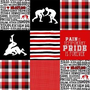 Wrestling//Red - Wholecloth Cheater Quilt 
