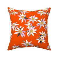 Flannel flowers on sunshine orange