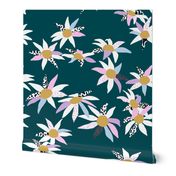 Flannel flowers on teal