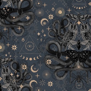 snakes spiders spells -navy