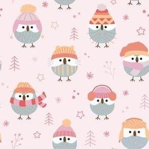 Cute owls with wool hats in winter
