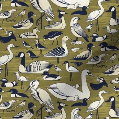 Water Birds - Khaki - s