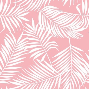palm leaves on pale rose