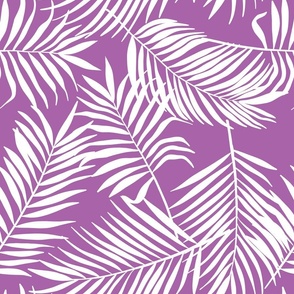 palm leaves on purple
